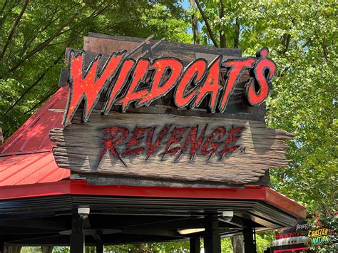 wildcat primewire